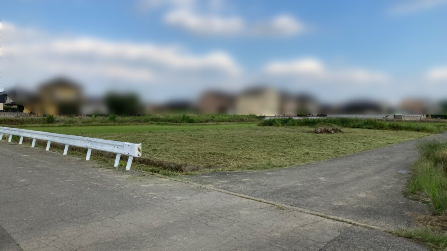 【白岡市】年間管理地(193坪)の草刈り 今シーズン1回目